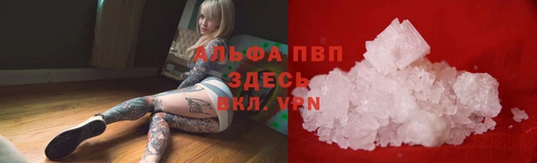 стафф Алексин