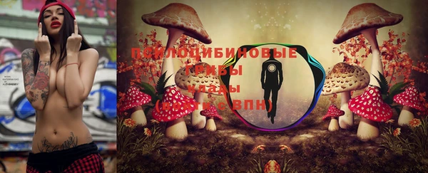 стафф Алексин